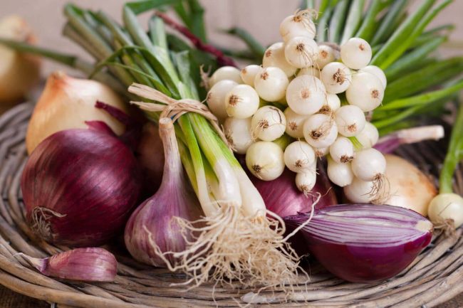 Onions and garlic