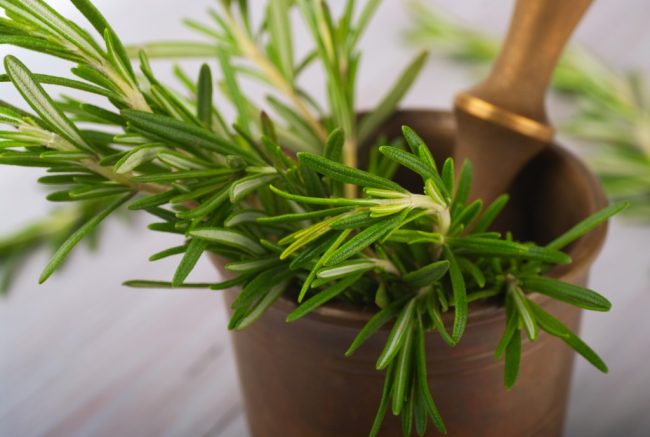 Rosemary